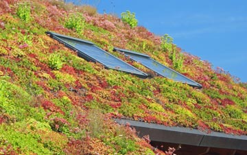 Thurcaston living roof systems